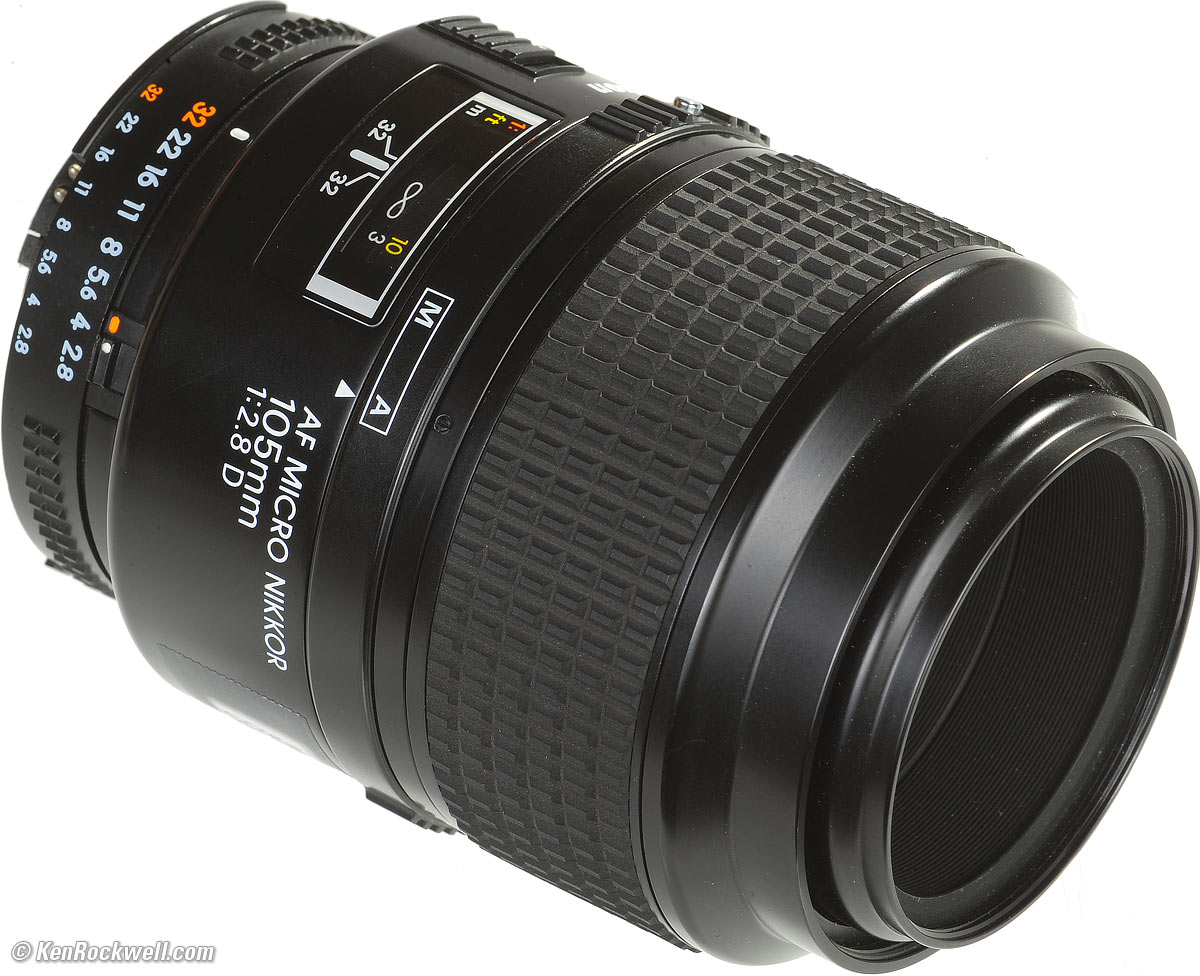 D3S_9597-1200.jpg
