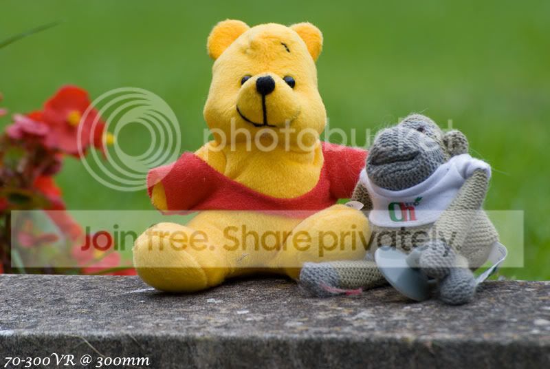 DSC_4306.jpg