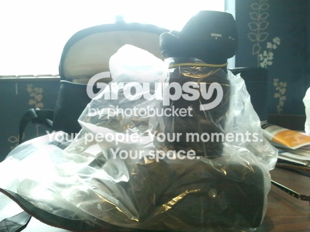 2011-07-16110634.jpg