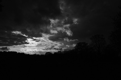 4565720223_45906a1ccb.jpg