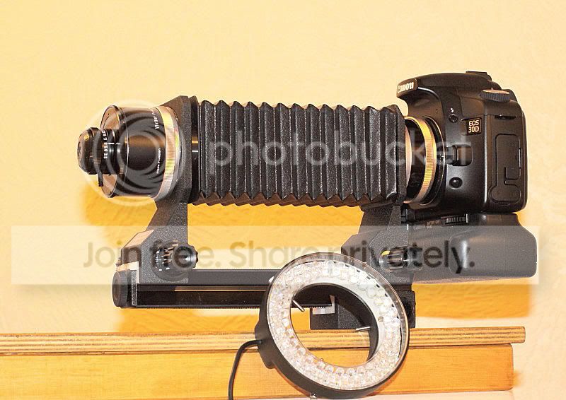 Macro_rig.jpg