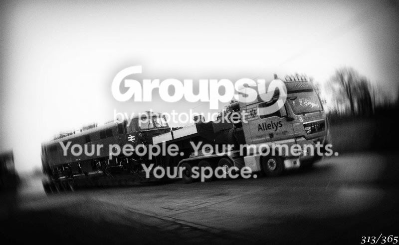 365_313.jpg