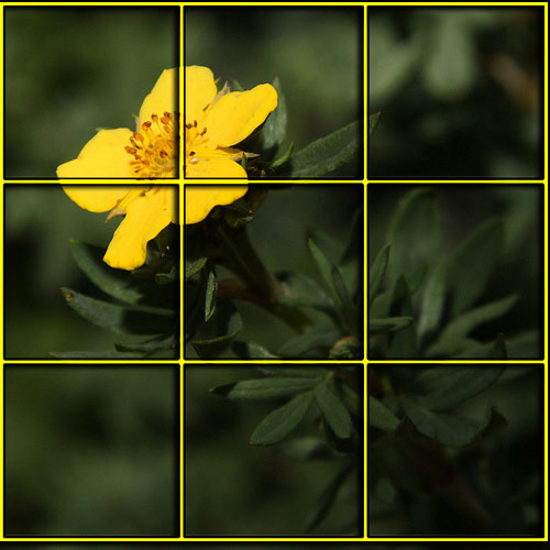 5959140542_ccd9a0495e.jpg