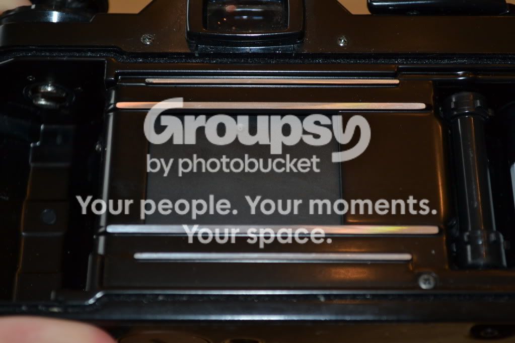 DSC_0079.jpg