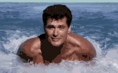 hasselhof.gif