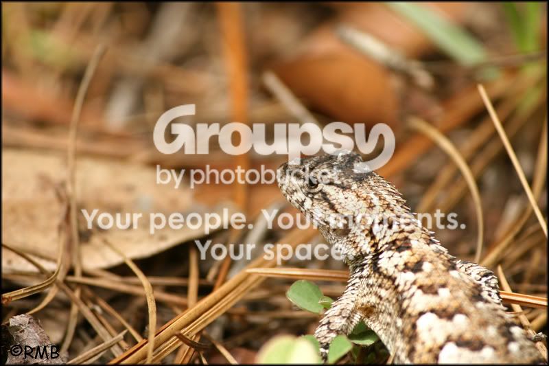 IMG_0485copy.jpg
