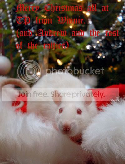XmasWinnieTP.jpg