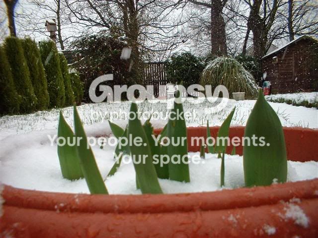 Winter006Small.jpg