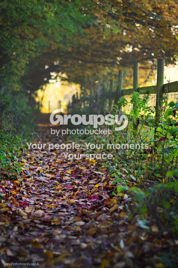Autumn%20matte-2_zpscs5uwxjq.jpg~original