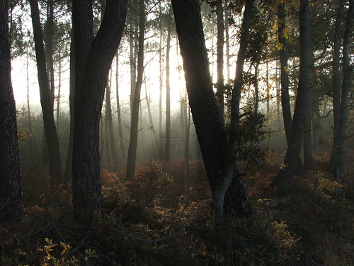 262085398_4c5c7d4167.jpg