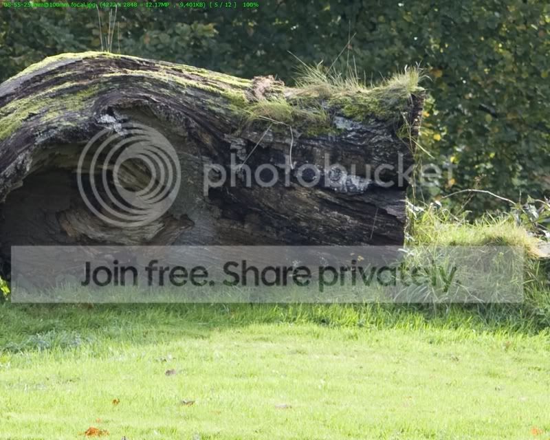 05-55-250mm100mmfocal_zoom100800.jpg