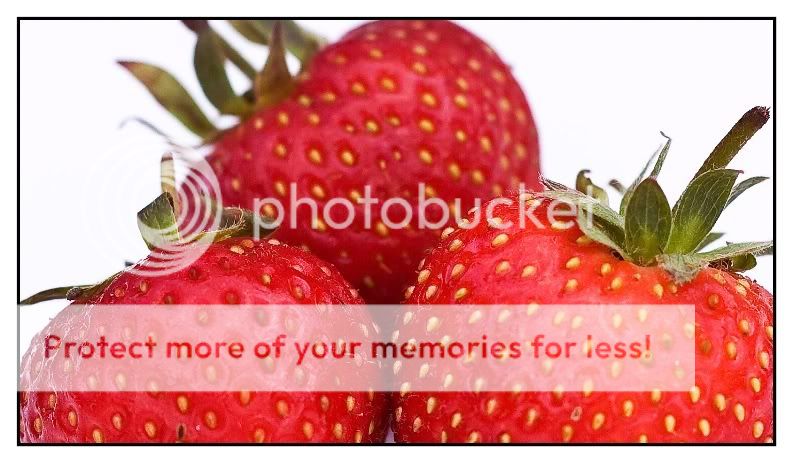 Strawberries1744pb-1.jpg