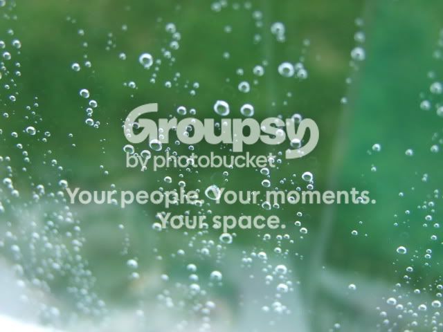 2010_08130002.jpg