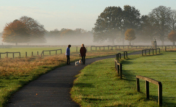 Morning%20mist%205.jpg