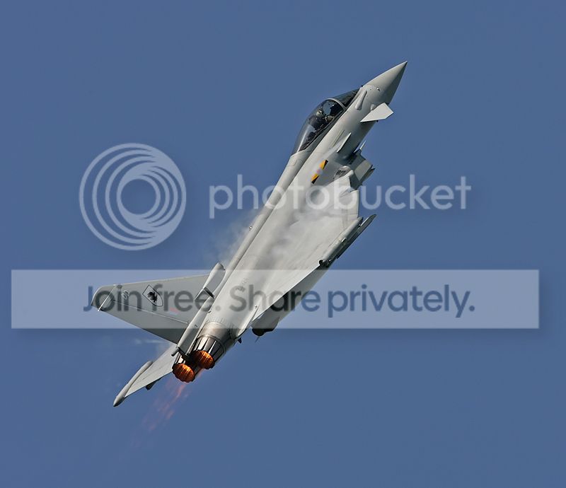 IMG_7959copy1.jpg