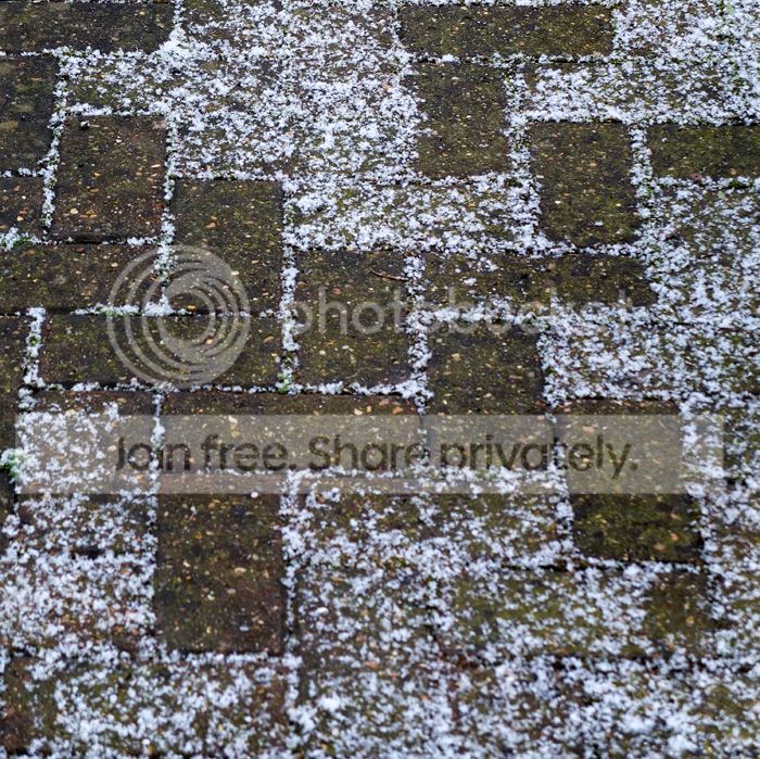 pavers-web_zps4bcc7ab3.jpg