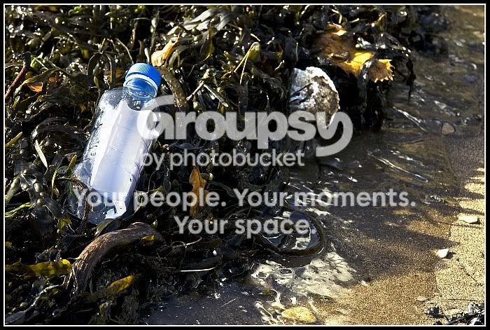 Messageinabottle.jpg