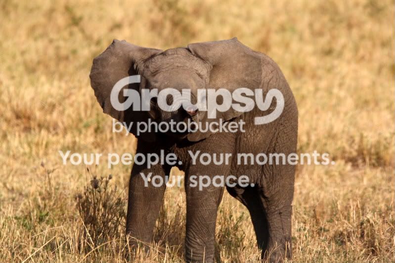KENYA2032.jpg