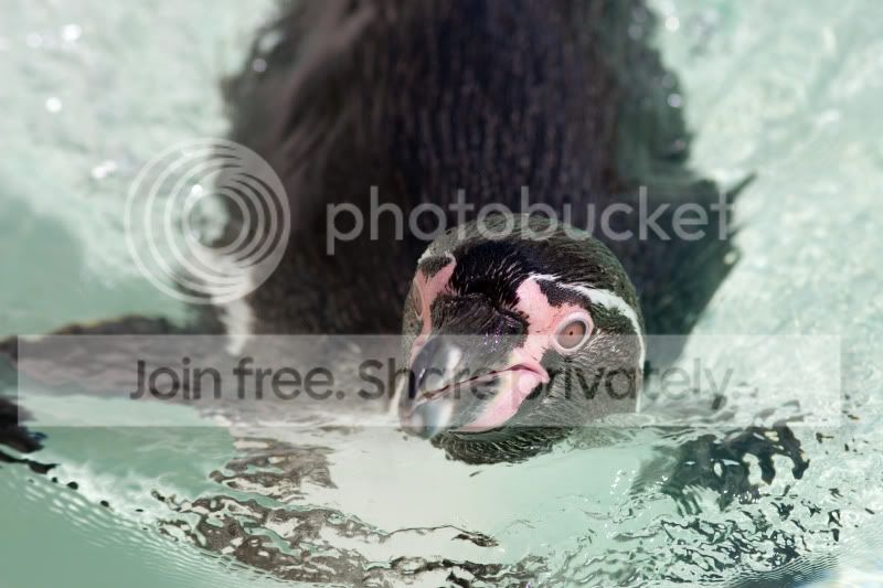 IMG_6607-2-1.jpg