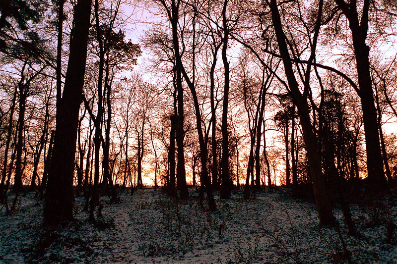 5223597121_25a60eff36_b.jpg