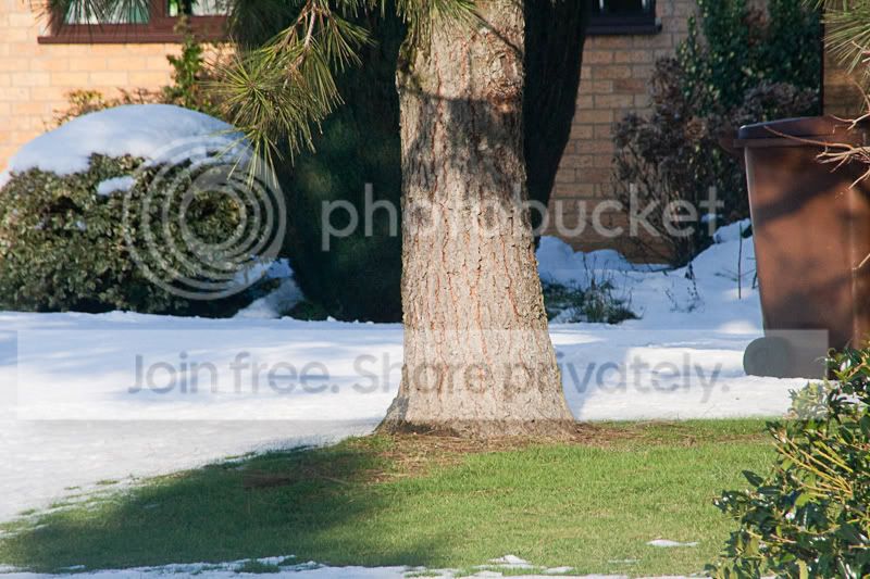 300mm.jpg