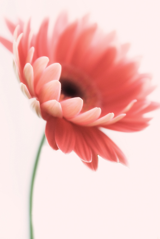 4456610253_22089e8ece_o.jpg