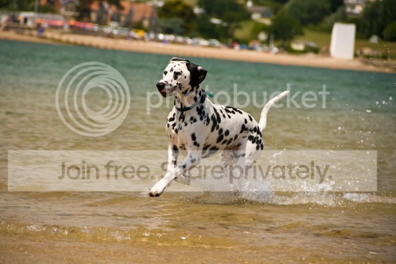 Finleyrunninginwater2.jpg