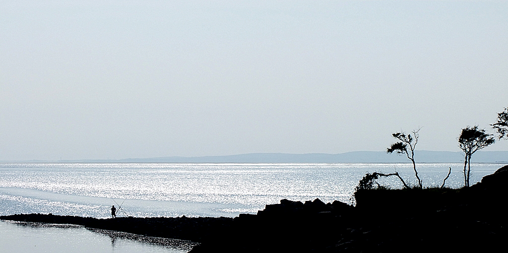 3138995332_02e7e21d8f_o.jpg