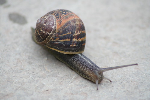 672051446_3e21468503.jpg