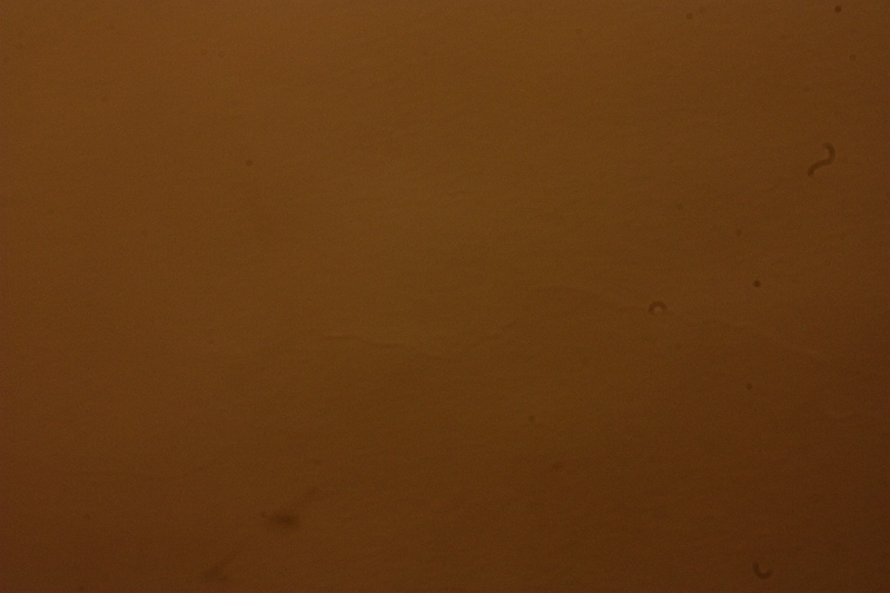 4156805515_a66ee5e6ae_o.jpg