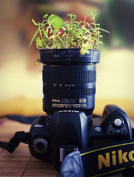plantpot01.jpg