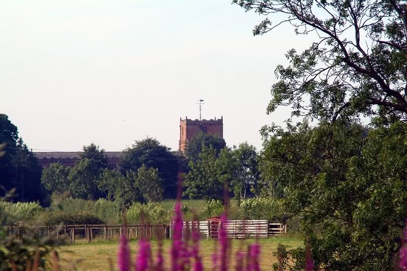 DSCF0173.jpg