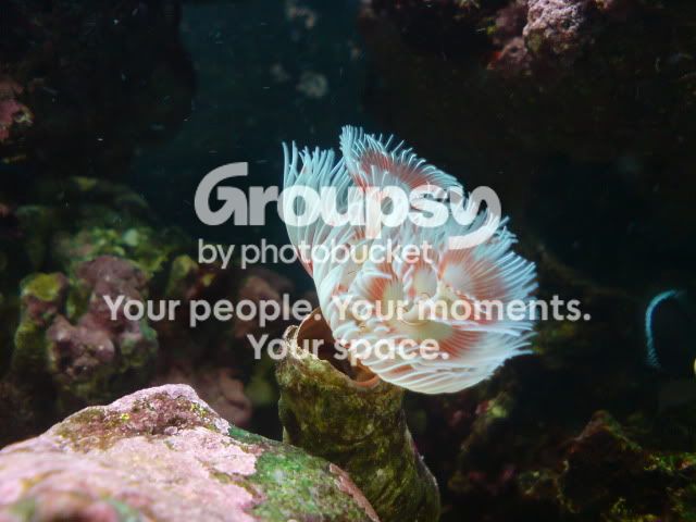 DSC00424.jpg