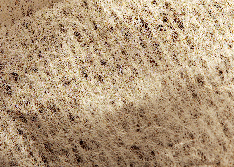 3235571128_2fe8d469f2_o.jpg