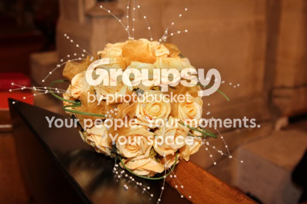 IMG_7113_zps7cf96bbd.jpg