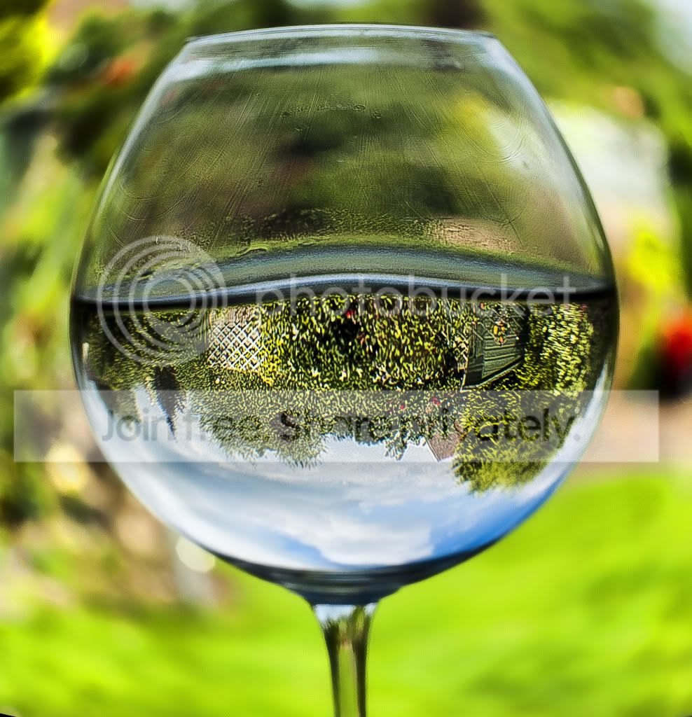 garden_in_glass_v2.jpg