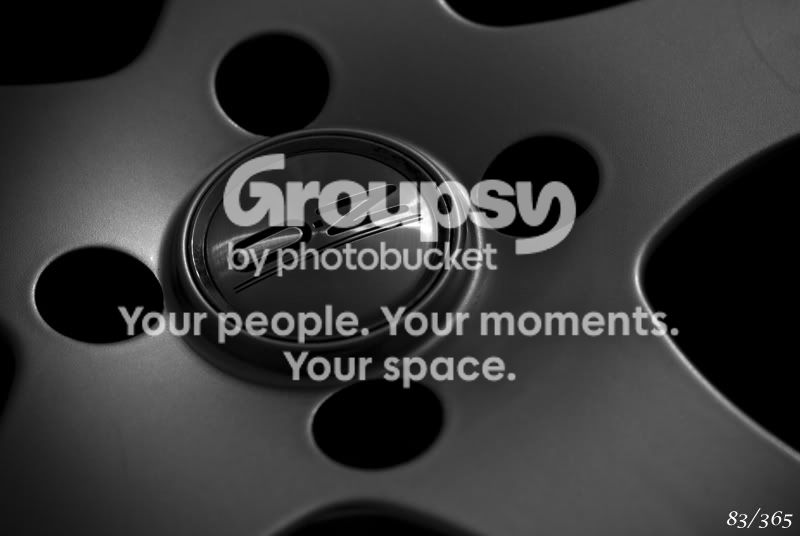 365_83.jpg