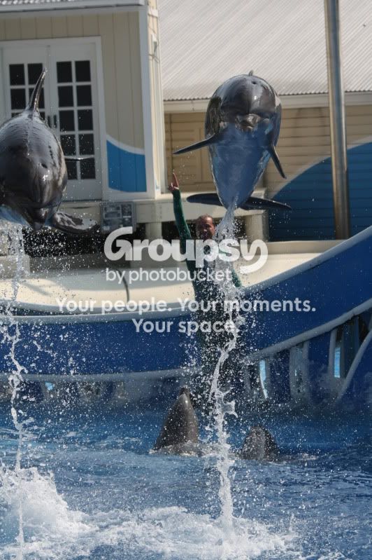 Orlando201047.jpg