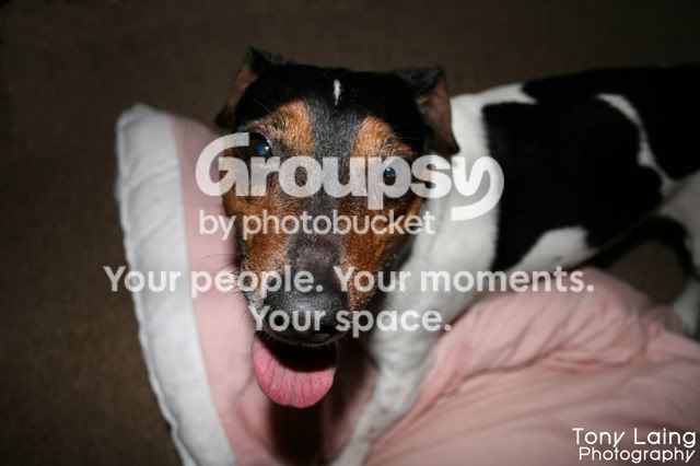 IMG_01401112copy.jpg