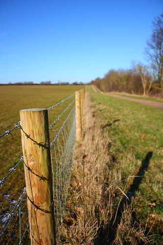 4316270030_0f017d7f09.jpg