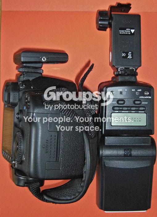 casio246.jpg