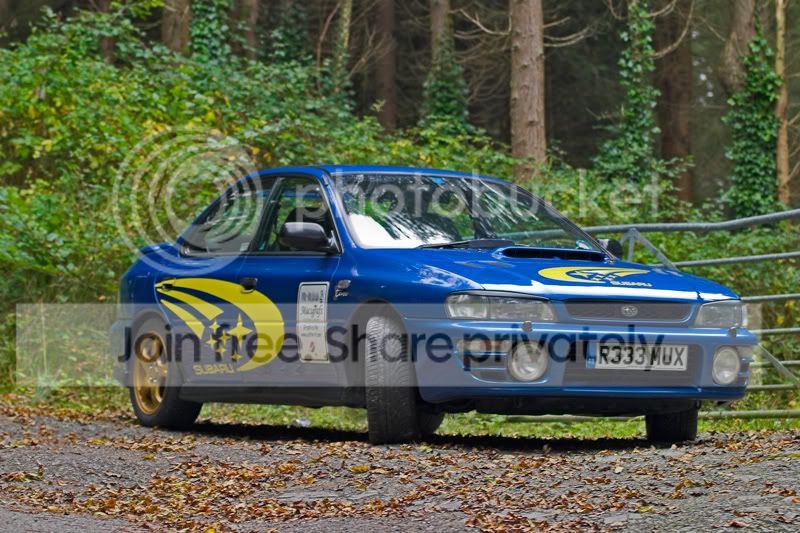 CRW_8517-01copy.jpg