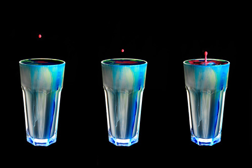 3449632491_e2e621fea6.jpg