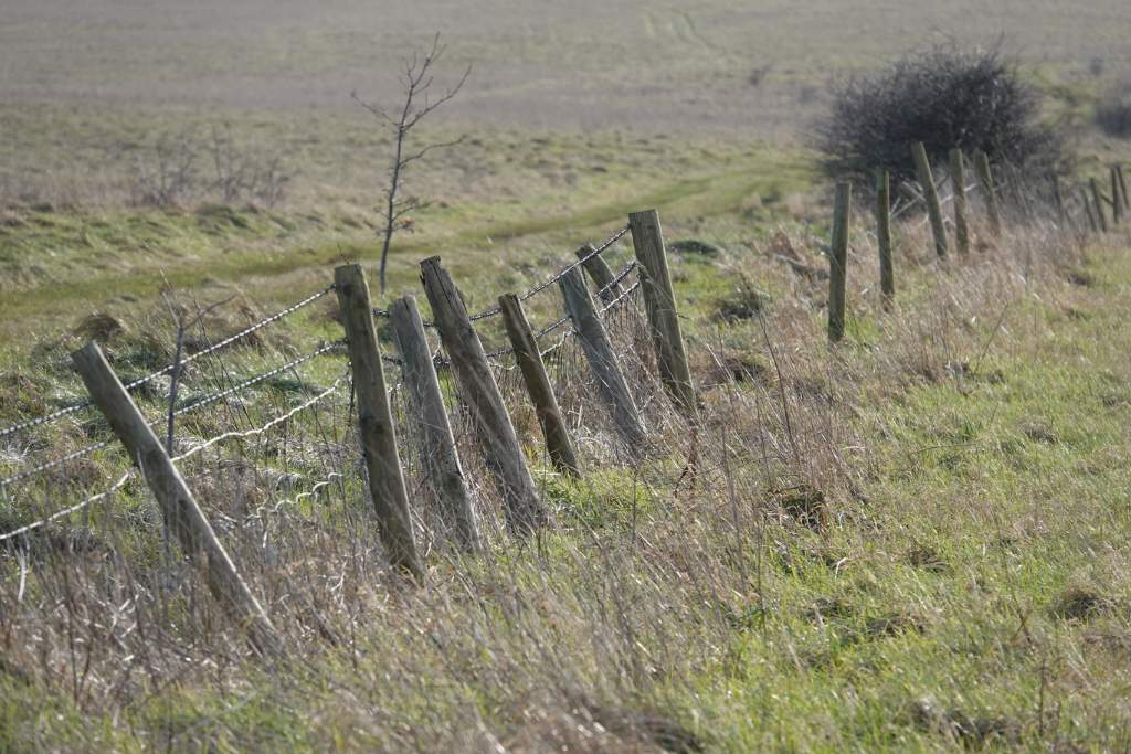 DSC00225.JPG