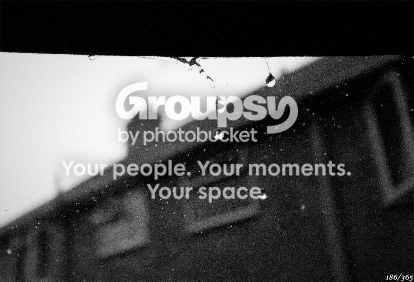 365_186.jpg