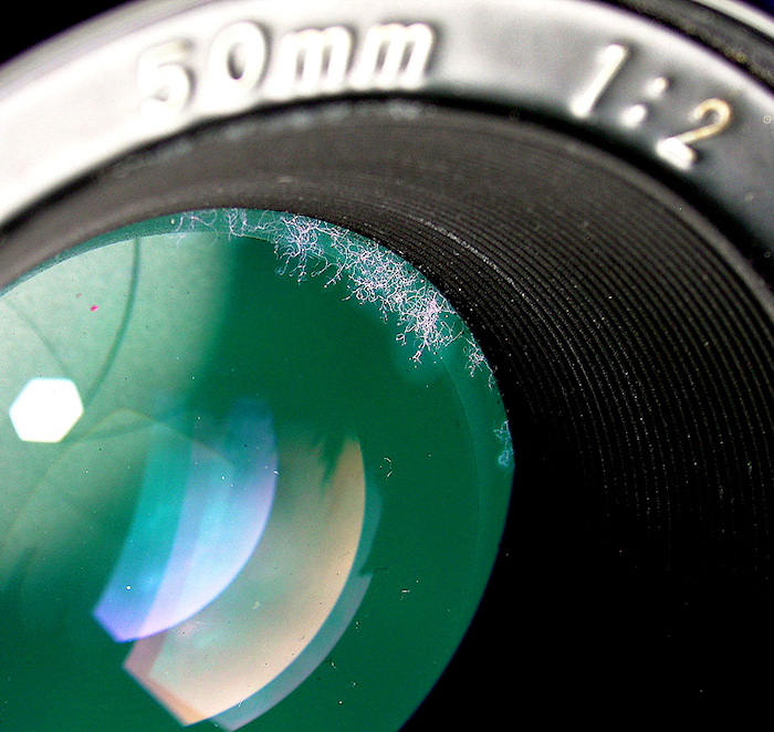 lens-with-fungus-nikon-nikkor-50mm.jpg