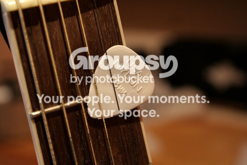Plectrumedit.jpg