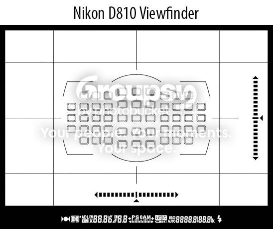 Nikon-D750-vs-D810-Viewfinder.jpg