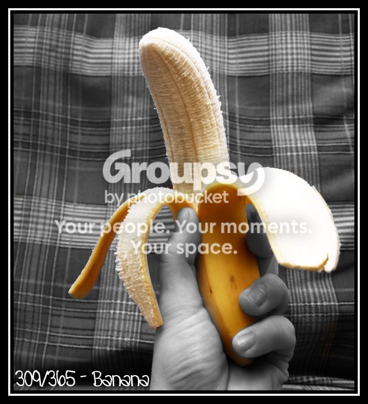 309.jpg