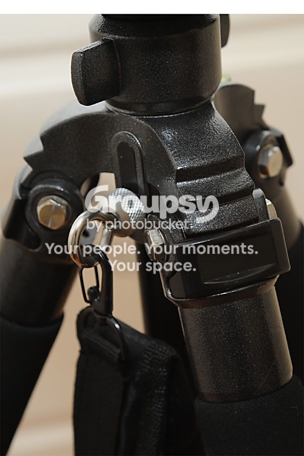 shoulder-1.jpg